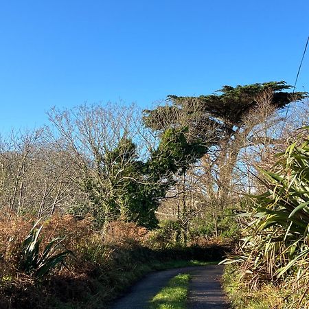 Ancaire Cottage Kilbronogue. Schull Zewnętrze zdjęcie