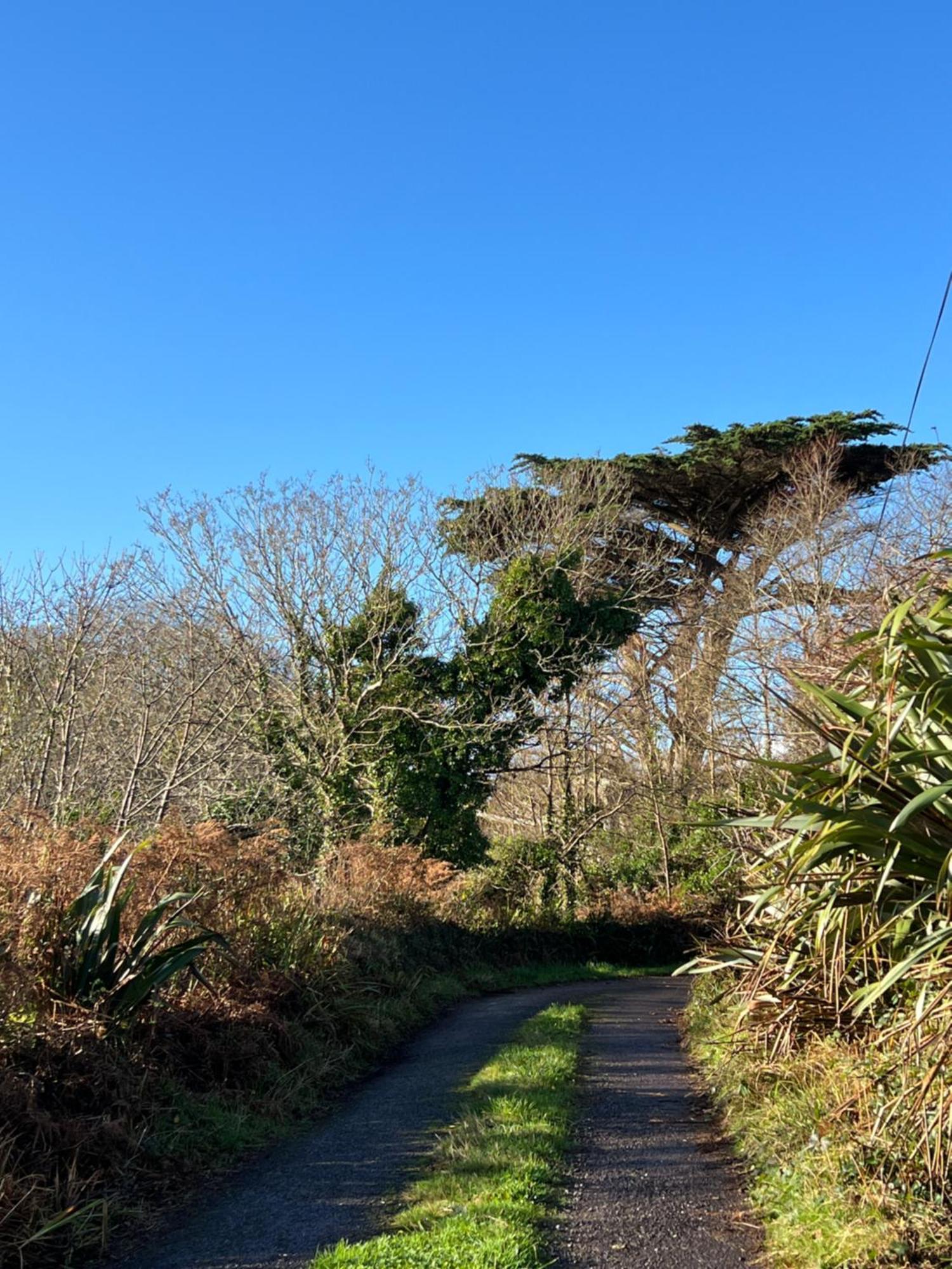 Ancaire Cottage Kilbronogue. Schull Zewnętrze zdjęcie