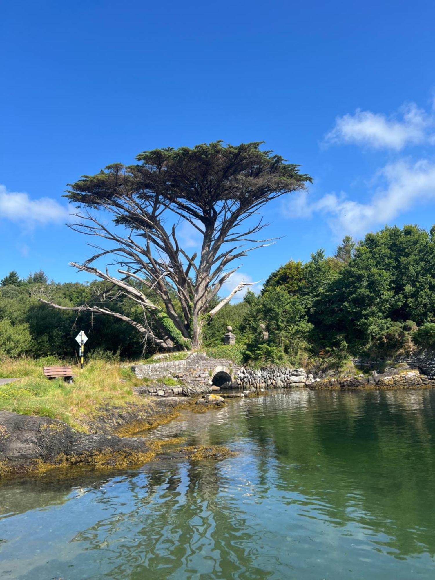 Ancaire Cottage Kilbronogue. Schull Zewnętrze zdjęcie